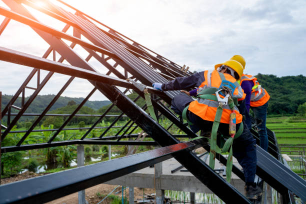 Roof Gutter Cleaning in Blackfoot, ID
